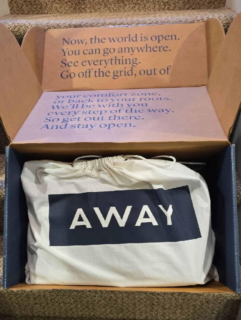 Away Everywhere Leather Weekender Bag in Tan